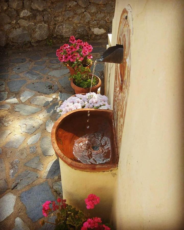 Mistra Estates Villa The Vine Pikouliánika Екстериор снимка